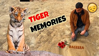 Memories Of Our BageeraTIGER [upl. by Eli603]