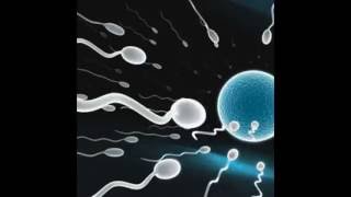 Low Sperm Count Treatment  Male Infertility FactorOligospermia Part 1 [upl. by Violette]