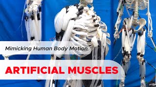 Artificial Muscles to Mimics the Human Body Motion [upl. by Katzir]