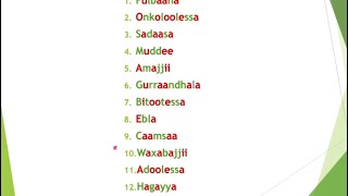 Barnoota Guyyootaa Torbaanii Jiootaa fii Woqtiilee Afaan Oromootiin [upl. by Anahpos]