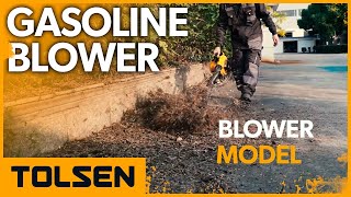 TOLSEN® Gas Powered Leaf Blower Gasoline Blower with Nozzle 79628 [upl. by Relyuc]