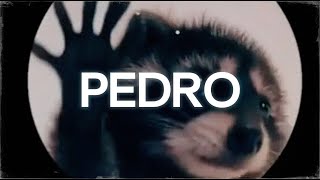 la canción de pedro  PEDRO  Raffaella Carrà Jaxomy Agatino Romero Remix  Letra [upl. by Ebba]