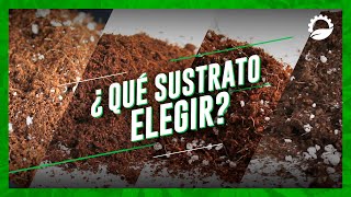 ¿QUÉ SUSTRATO ELEGIR PARA EL CULTIVO  Guía de sustratos [upl. by Sirovaj]