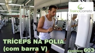 603 TRÍCEPS NA POLIA COM BARRA V  Treino Correto [upl. by Nohsav]