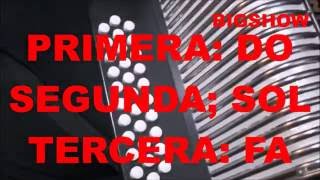 TEORÍA Mi acordeón tiene todos los tonos  Explicación  Clases de Acordeón  FACIL [upl. by Rattray]