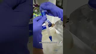 Periplasm Protein Purification [upl. by Reitman]