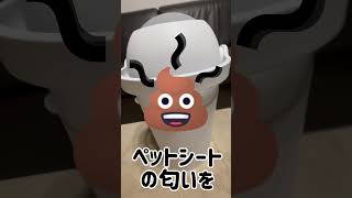 ゴミ箱のペットシーツの匂いを消すシーズー [upl. by Bergquist]