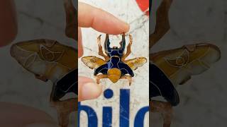 Making cloisonne enamel jewelry arttutorial howto art diy enamel handmade jewelery [upl. by Kariv314]