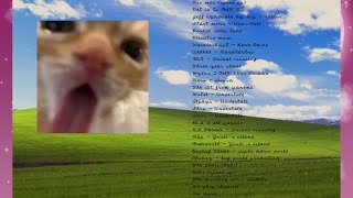 A silly playlist for silly cat people [upl. by Hank42]