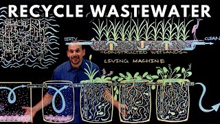 How to Recycle Waste Water Using Plants [upl. by Whitney]