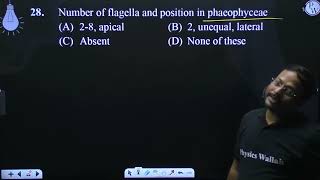 Number of flagella and position in phaeophyceae [upl. by Raynold]