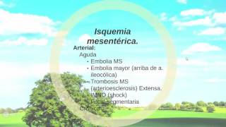 Isquemia mesenterica [upl. by Ahl217]