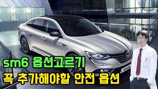 sm6 옵션 고르기 feat 꼭 추가해야 할 안전 옵션에 대하여 [upl. by Iah]