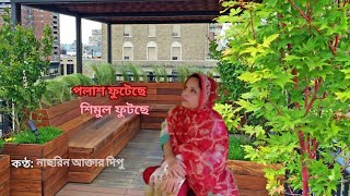 পলাশ ফুটেছে শিমুল ফুটেছে।Polash Futeche Shimul Futeche।‌ Surer Dipty [upl. by Lorn359]