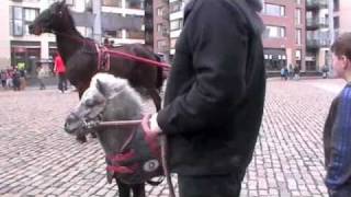 Smithfield Horse Market [upl. by Inoek223]