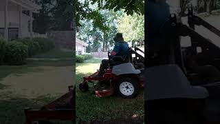 Cutting Down TALL Grass  lawncare cuttinggrass shorts fyp satisfying tallgrass [upl. by Hafeetal752]