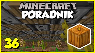 Minecraft Poradnik 036  automatyczna farma dyń i arbuzów  Minecraft 116 Survival [upl. by Alrats232]