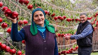 🧺Flavorful Pomegranate Recipes Simple Dishes from the Heart [upl. by Jonny]