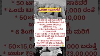 cowfarm dairyfarm cow hainugarikeinformationinkannada kannadasuccessfullmotivation [upl. by Duaner]