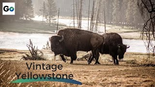 Vintage Yellowstone The Worlds First National Park  Full Vintage Documentary [upl. by Colette]