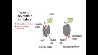 inhibitors and their types Lilac2197 [upl. by Eivol]