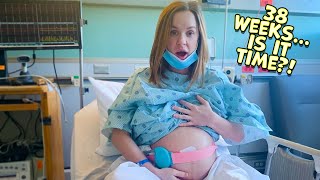 TERRIBLE allergic reaction and telling you about Baby Wrens eye [upl. by Kellby369]