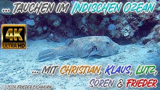 Tauchen im Indischen Ozean 🐬 🐳 🐡 [upl. by Mosra]