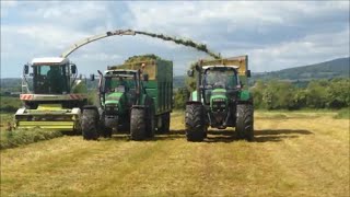 Houlihan Silage 2015 [upl. by Ydnak908]