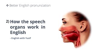 Better English pronunciation by JD OConnor  2 The speech organs  English with Yusif [upl. by Ailimat]