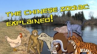 Chinese Zodiac Explained  Learn Chinese Now [upl. by Caren27]