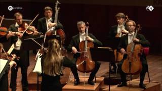 Elgar Serenade for Strings  Concertgebouw Chamber Orchestra  Live concert HD [upl. by Hootman469]