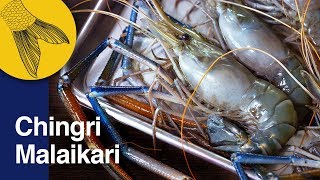 Chingri Malaikari Recipe—Bengali Prawn Malai Curry—Bengali Prawn Curry—Noboborsho Special [upl. by Rramahs303]