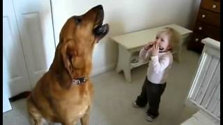 Dog Singing While Boy Plays Harmonica [upl. by Fidel]