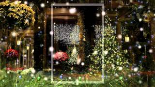 A Longwood Gardens Christmas [upl. by Suki]