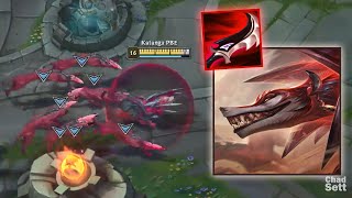 NEW Champion Naafiri with Lethality Items [upl. by Snevets494]