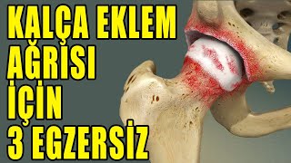 KALÇA AĞRISI İÇİN 3 GEVŞETME EGZERSİZİ aktifizyo fiziktedavi kalçaağrısı [upl. by Neelhtakyram]