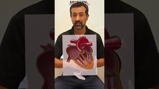 What is Afib Atrial Fibrillation [upl. by Cull787]