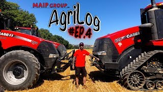 AGRILOG EP4  IN CAMPO CON 2185 CAVALLI ROSSI  CASE IH [upl. by Venable594]