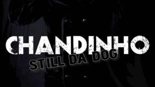 CHANDINHO STILL DA DOG feat btheboss N KIMBERLY [upl. by Akemat387]