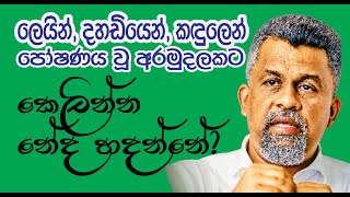 ලෙයින් දහඩියෙන් කදුලෙන් පෝෂණය වූ අරමුදලකට කෙලින්න නේද හදන්නේ  Weerasumana Weerasinha [upl. by Odraccir160]