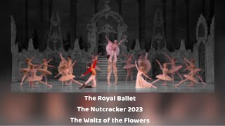 The Royal Ballet  The Nutcracker 2023  Waltz of the Flowers [upl. by Marillin]