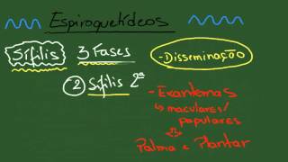 Espiroquetas Treponema pallidum  Resumo  Microbiologia [upl. by Einohpets]