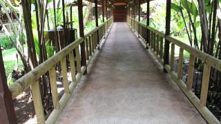 Pachira Lodge  Hotels in the Tortuguero area of Costa Rica [upl. by Etnoj966]