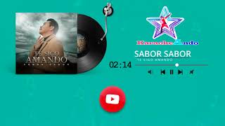 KARAOKEANDO  Sabor Sabor  Te sigo amando Karaoke [upl. by Vivyanne]