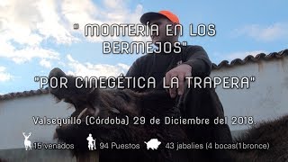 quotMONTERÍA EN LOS BERMEJOS POR CINEGETICA LA TRAPERAquot Día 29 de Diciembre 2018 [upl. by Orferd]