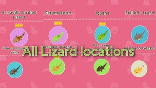 All Lizards Locations real time  Play Together Lizard Hunt [upl. by Geoff]