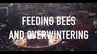 Feeding Bees and Overwintering [upl. by Nnaylloh437]