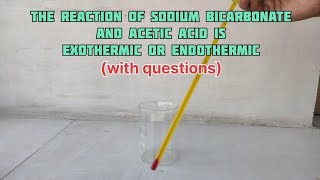 sodium bicarbonate and acetic acid vinegar reaction is exothermic or endothermic experiment [upl. by Golda]