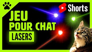 Shorts  Jeux pour chat  Les lasers  Super vidéo pour amuser chats et chatons [upl. by Zaccaria]