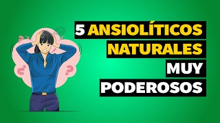 Los 5 ANSIOLÍTICOS NATURALES más poderos [upl. by Anaet]